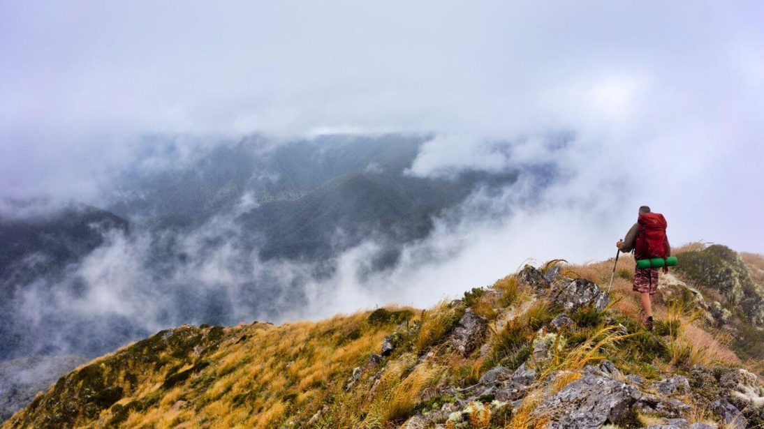 Hiking Trails in Nelson , New Zealand