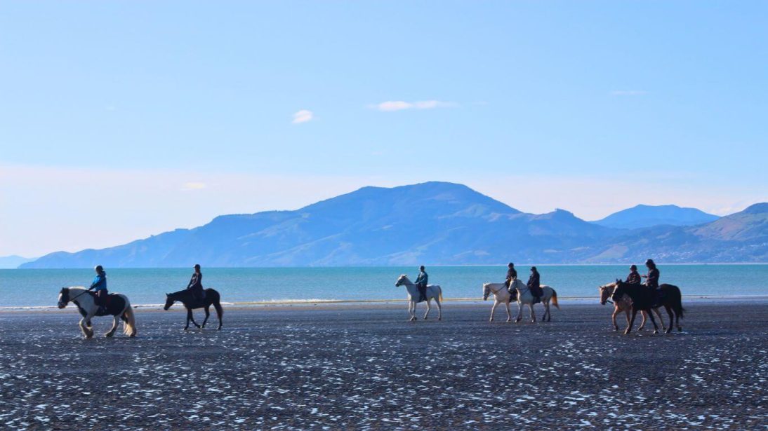 Moturoa / Rabbit Island in Nelson, New Zealand