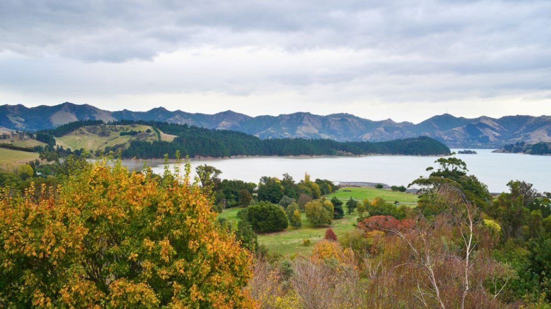 Orton Bradley Park in Christchurch, New Zealand