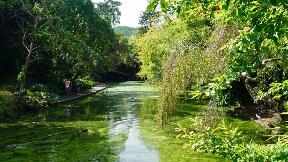 Queen's Gardens in Nelson, New Zealand