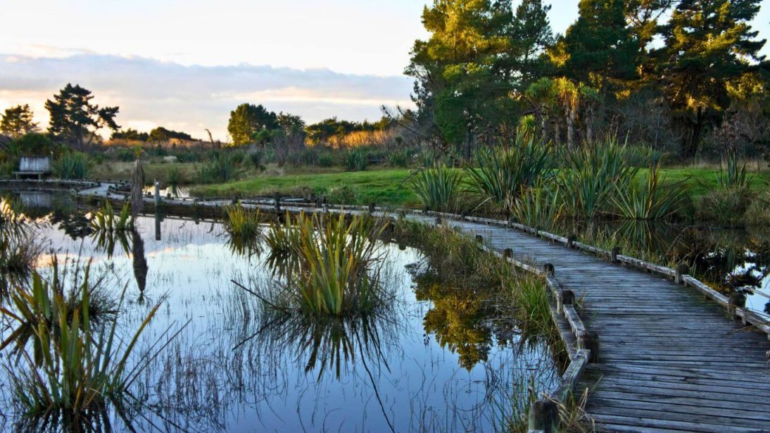 Spencer Park in Christchurch