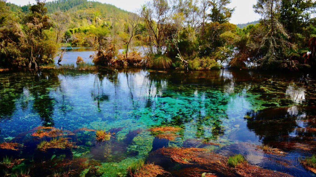 Te Waikoropupu Springs in Nelson, New Zealand