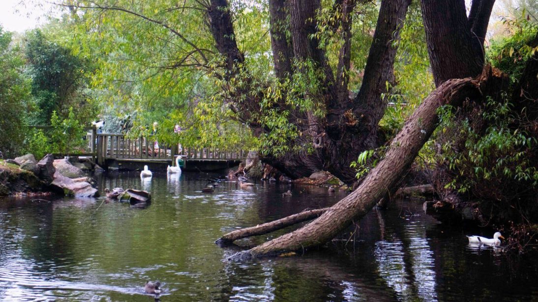 Willowbank Wildlife Reserve in Christchurch